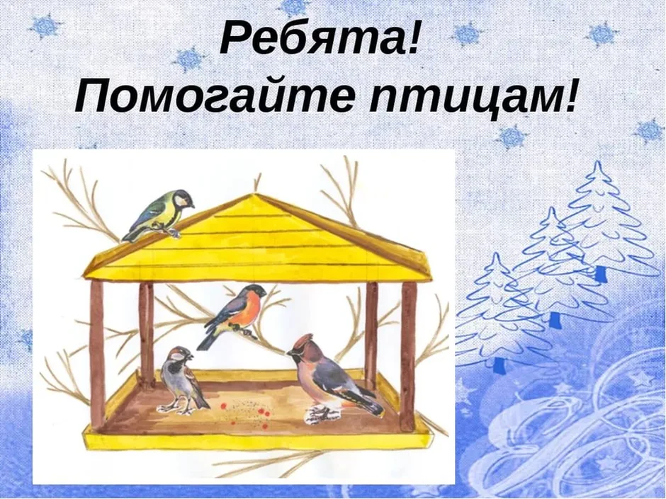 Спасите птиц 2 класс литературное чтение. Помоги птицам зимой. Покормите птиц зимой. Поможем птицам зимой. Помощь птицам.