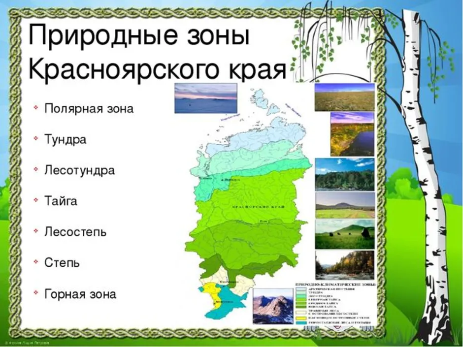 Какая природная зона в красноярском крае. Природные зоны Красноярского края. Природные зоны Красноярского края таблица. Климатические зоны Красноярского края. Карта природных зон Красноярского края.