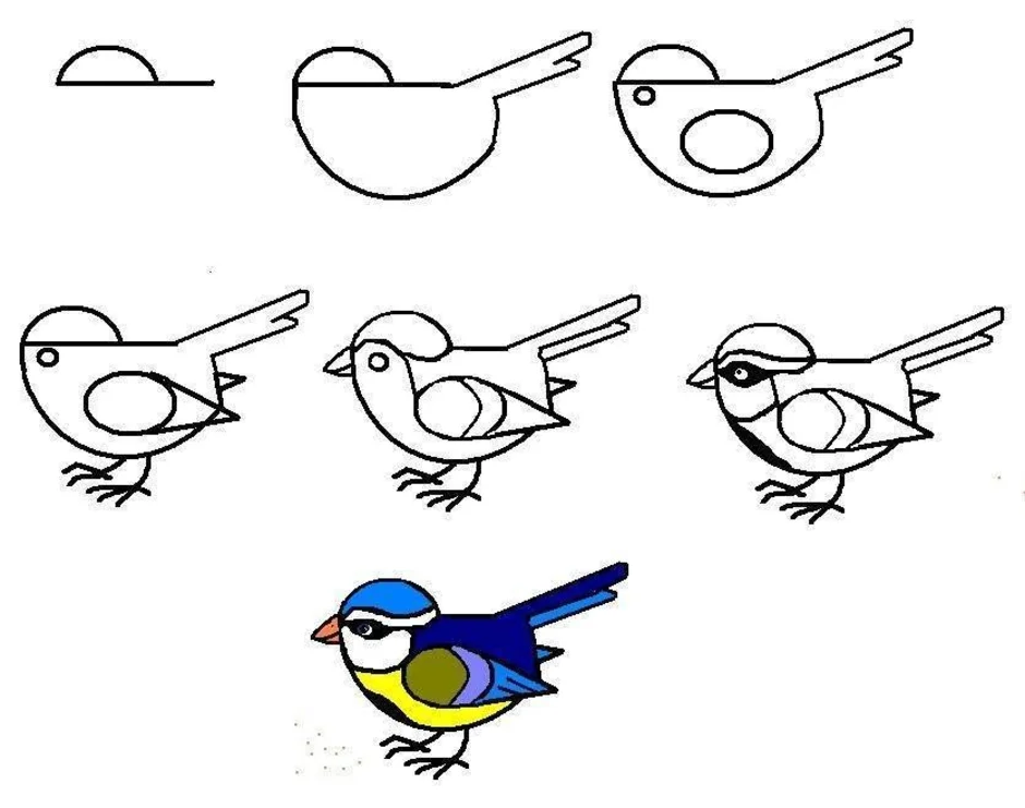 Рисуем птицу поэтапно презентация 2 класс. Птица рисунок. Рисование птиц для детей. Поэтапное рисование птиц. Ptisa risunok.