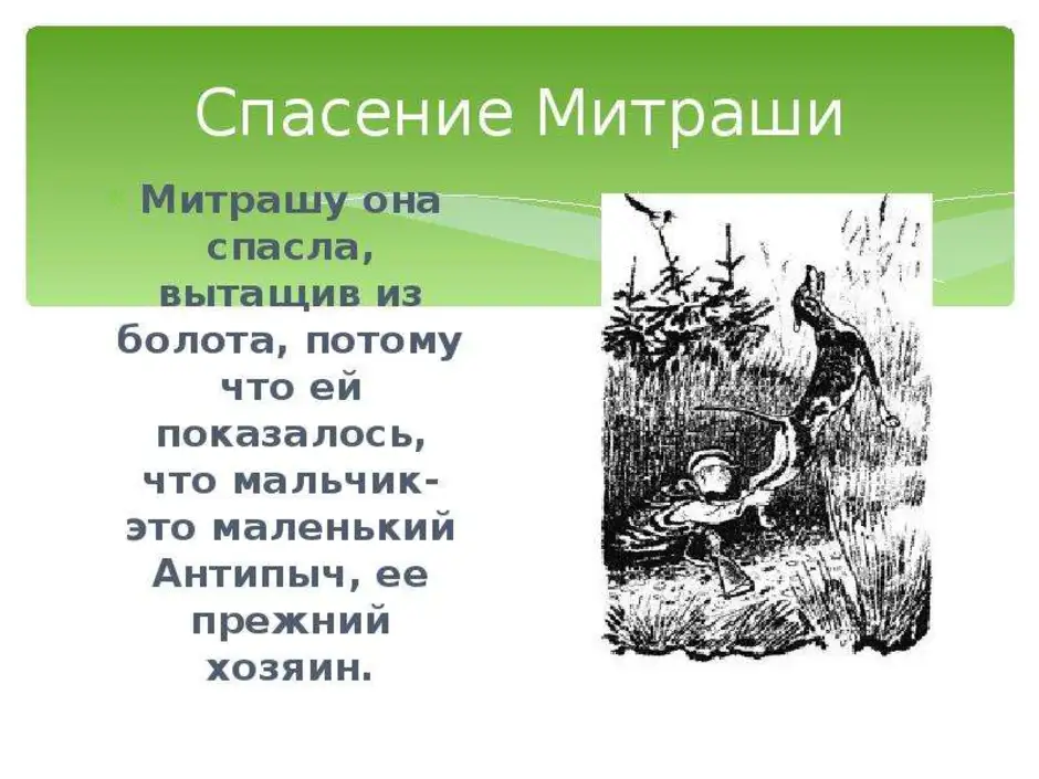 Люди на болоте кратко по главам. Карта путь Митраши кладовая солнца. Пришвин кладовая солнца. Кладовая солнца спасение Митраши. Пришвин кладовая солнца Митраша.