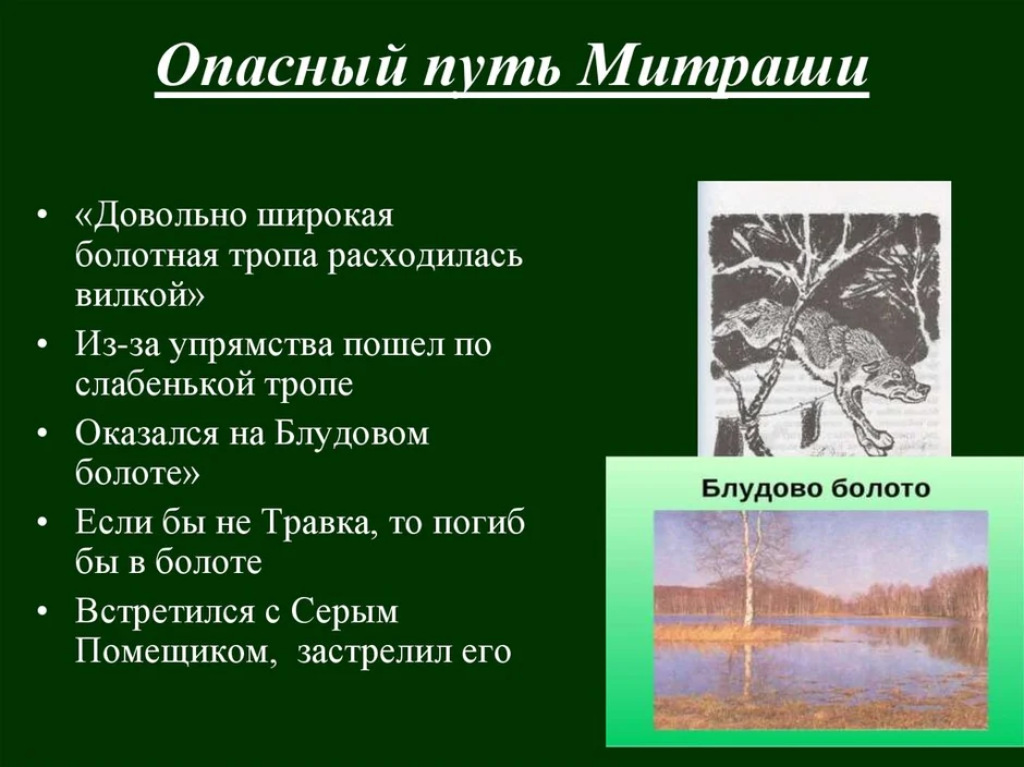 Путь насти и митраши кладовая солнца рисунок