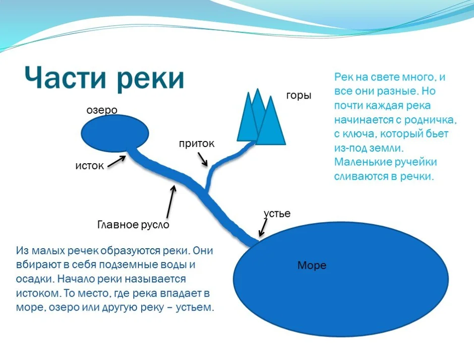 Устье исток русло схема