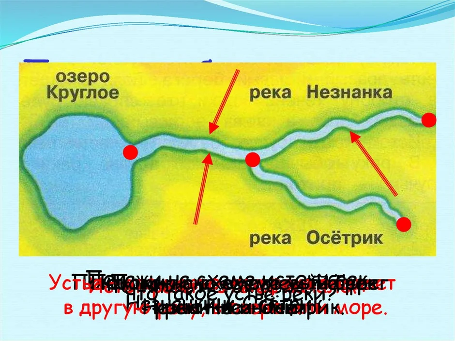 Исток реки это. Где находится Исток реки мойка. Годовой Исток реки это. Исток реки пола на карте. Транзитные реки это.