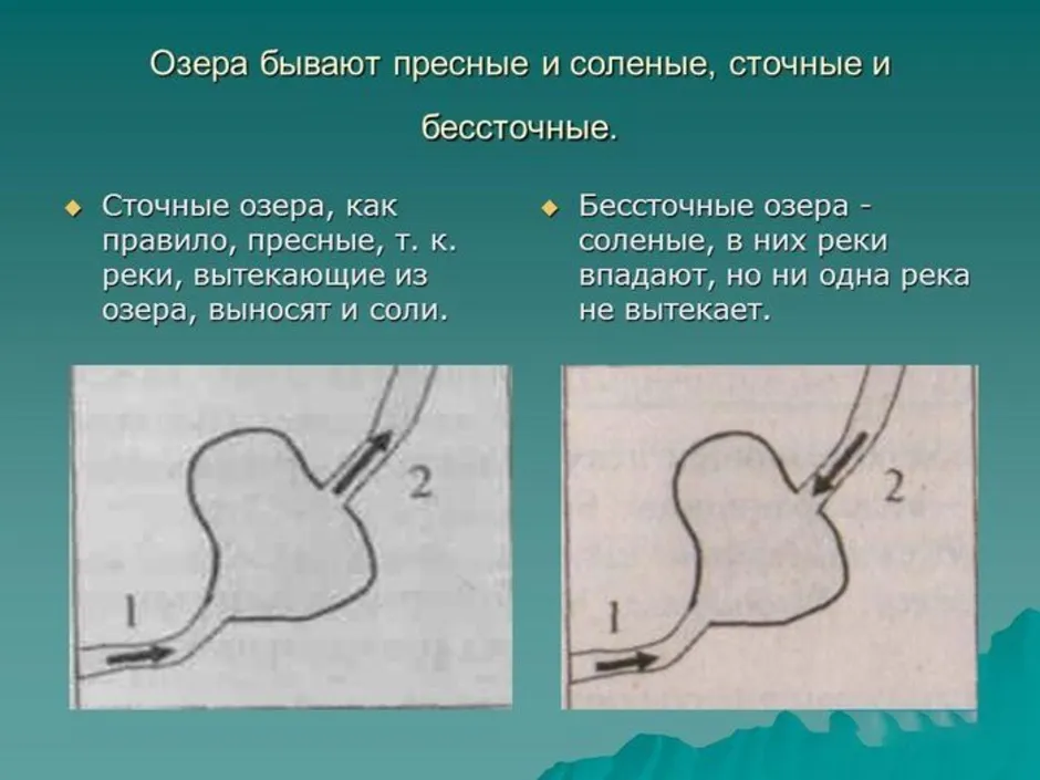 Рисунок схема река вытекает из озера и впадает