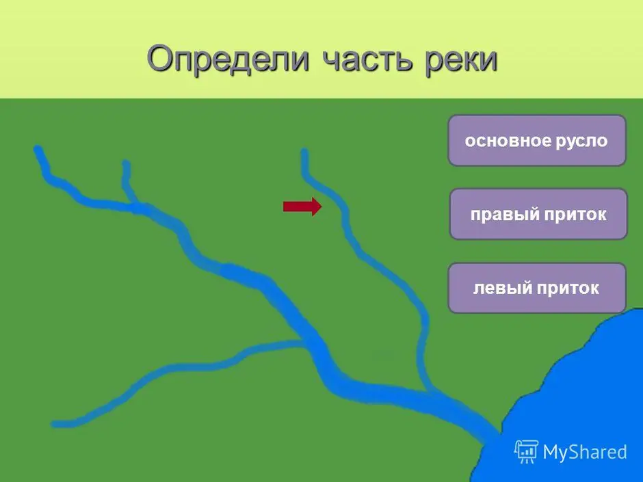 Приток озера. Схема реки Исток приток Устье. Река Исток русло схема. Исток реки Устье реки правый приток левый приток. Определите части реки Исток приток Устье.