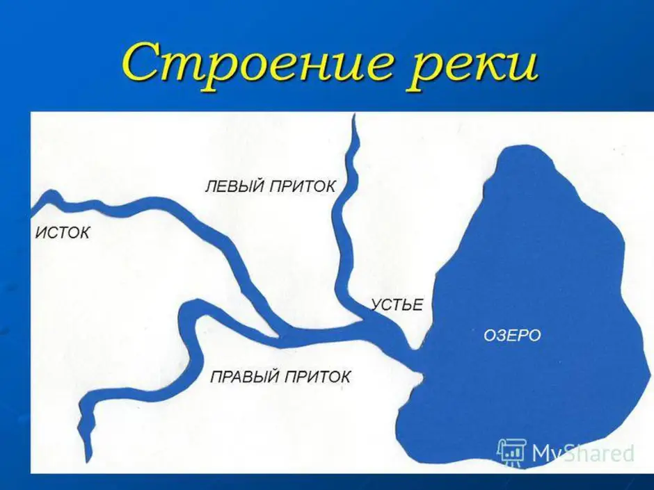 Рисунок река вытекает из озера и река впадает