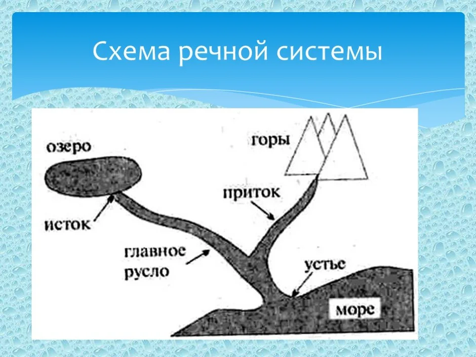 Что называется истоком реки устьем речной системой бассейном водоразделом нарисуйте схему строения