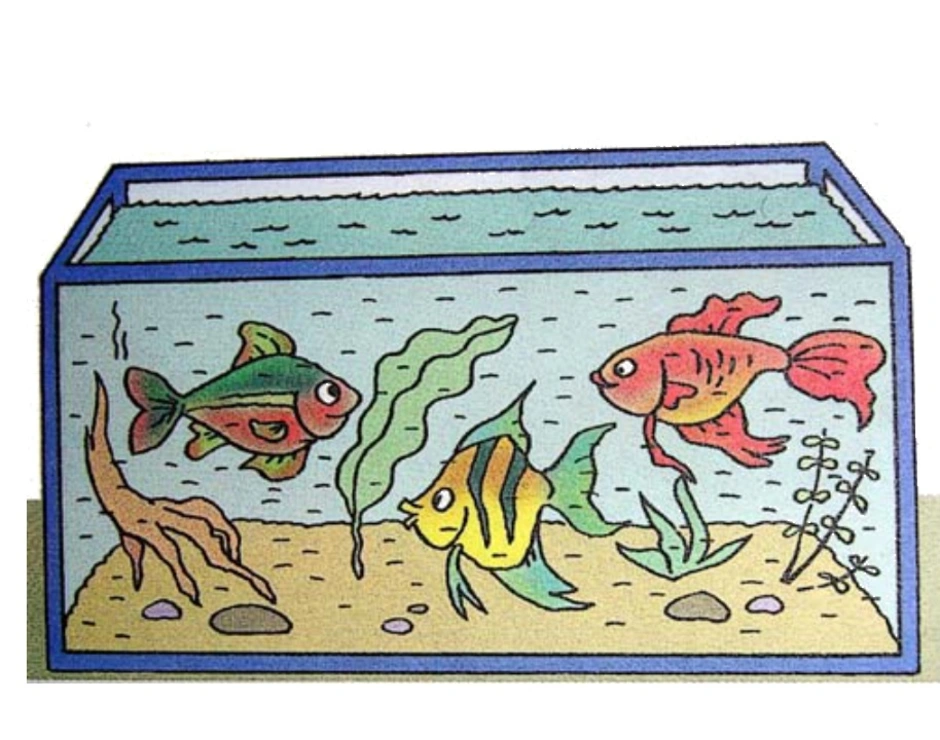 В 10 аквариумах было поровну рыбок. Аквариум с рыбками рисунок. Рыбки для аквариума. Рыбки в аквариуме рисование. Аквариум с рыбками для детей.