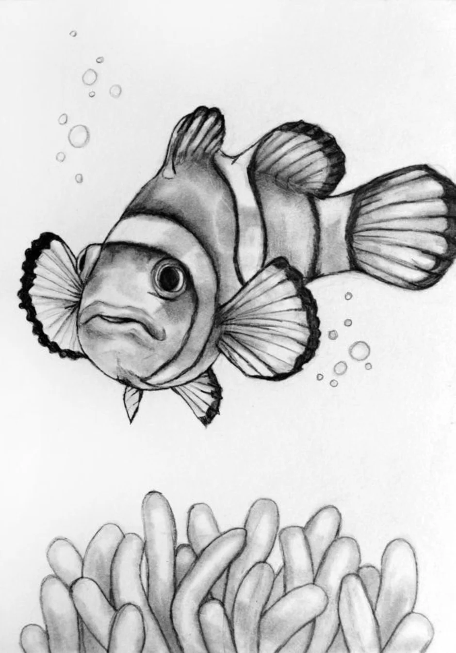 Нарисовать рыбку картинки. Рыбка рисунок. Рыбка рисунок карандашом. Зарисовки рыб карандашом. Рисунок рыбы для срисовки.