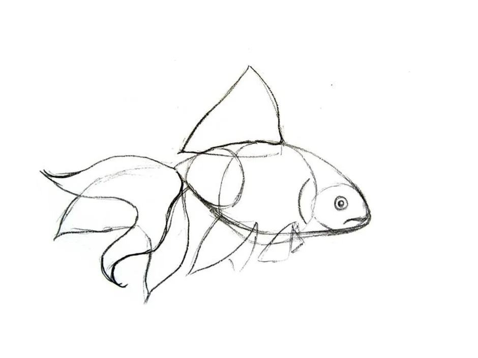Нарисовать рыбку картинки. Рисование рыбы. Рыбы для срисовывания. Рыба для срисовки. Рыбка рисунок карандашом.