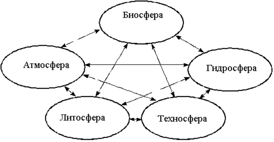 Схема биосферы связь биосферы с другими оболочками земли