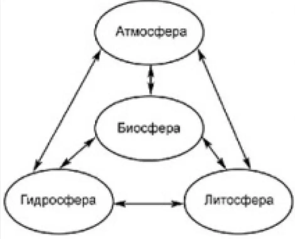 Рисунок схемы связь биосферы с другими оболочками земли