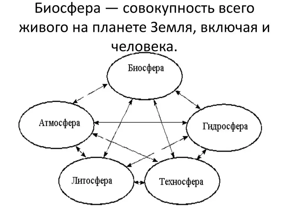 Схема биосферы с другими оболочками