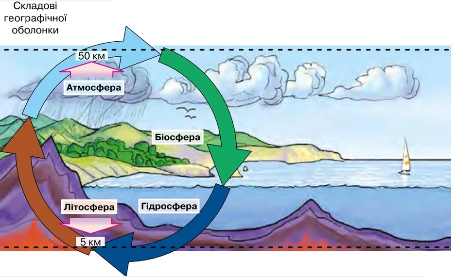 Рисунок биосферы 6 класс география