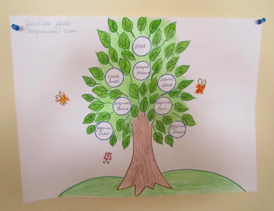 Нарисовать древо семьи 2 класс. Семейное дерево рисунок. Генеалогическое дерево рисунок для детей. Нарисовать родословное дерево. Дерево семьи рисунок для детей.