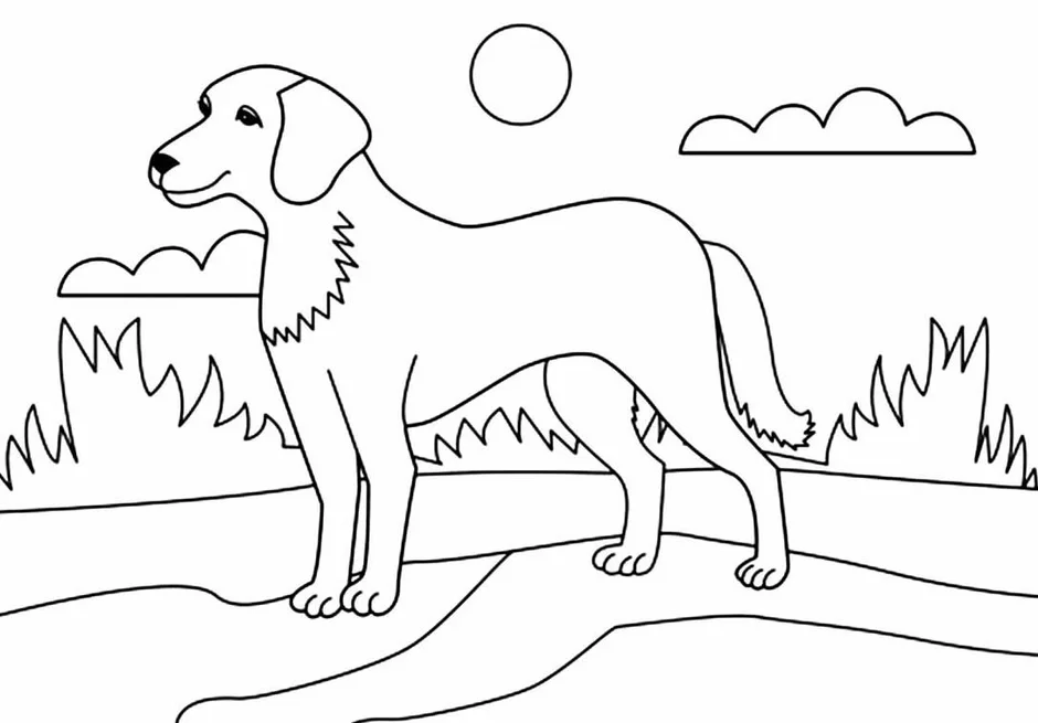 Изображения по запросу Раскраска собаки номерам