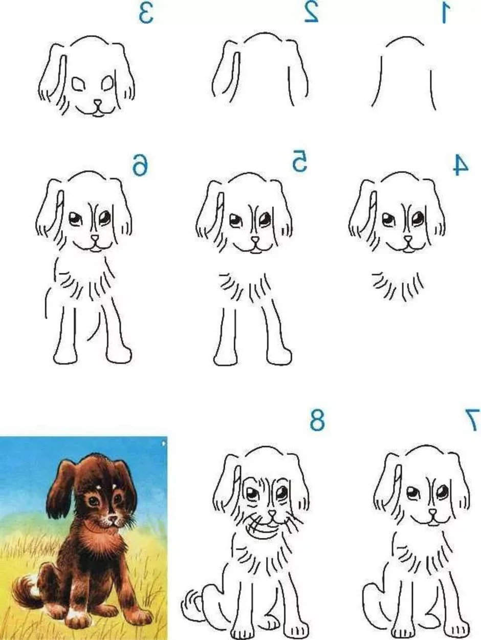 Рисуем собаку с детьми. Рисуем собак. Щенок рисунок. Нарсувать собаку. Схема рисования собаки для дошкольников.