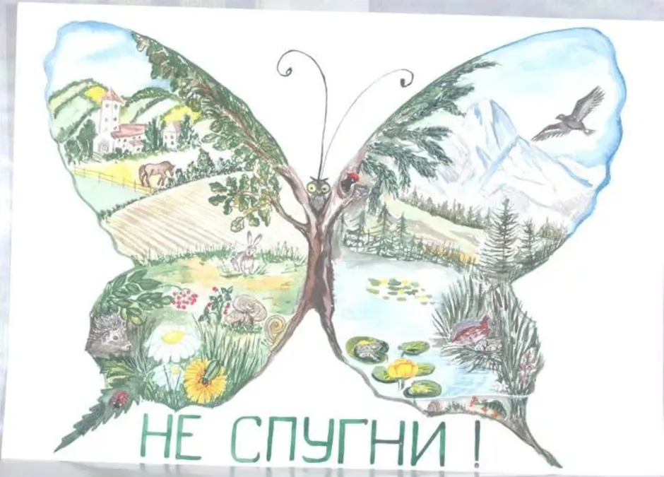 Рисунки люби и охраняй природу