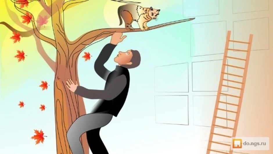 Помоги герою спасти. Спасают котенка с дерева. Спасение котика с дерева. Мальчик спасает кота с дерева. Доставать котика с дерева.