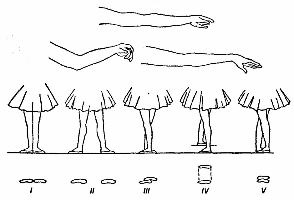 Позиции ног в балете названия с картинками на русском языке
