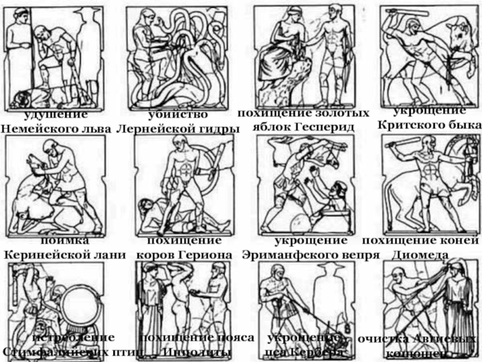 Подвиги геракла 12 подвигов рисунки