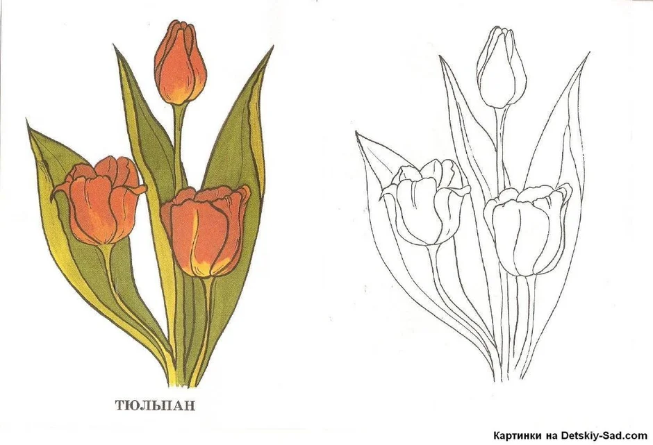 Тюльпаны детский рисунок