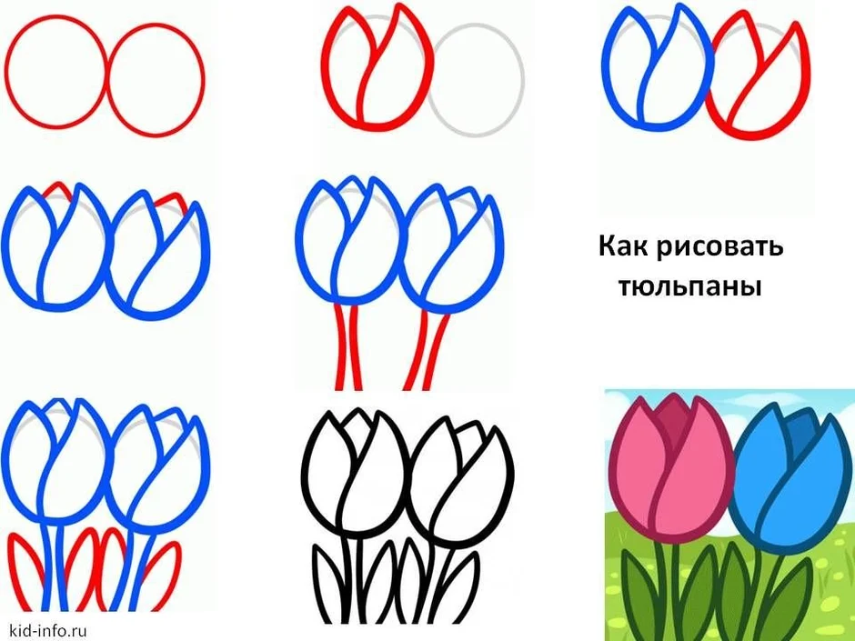 Рисуем тюльпаны поэтапно