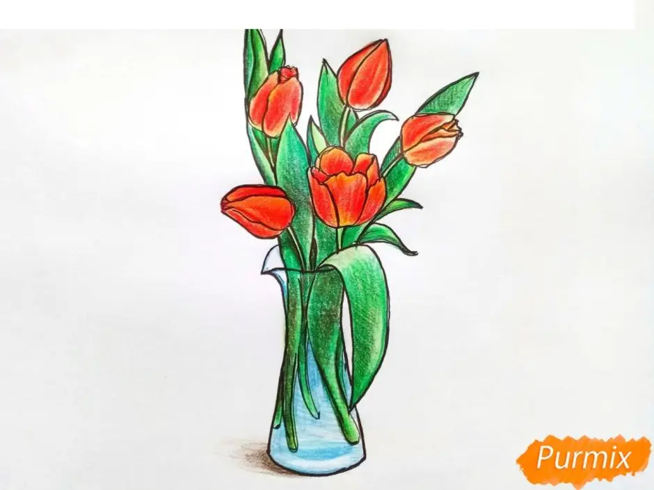 Тюльпаны в вазе карандашом