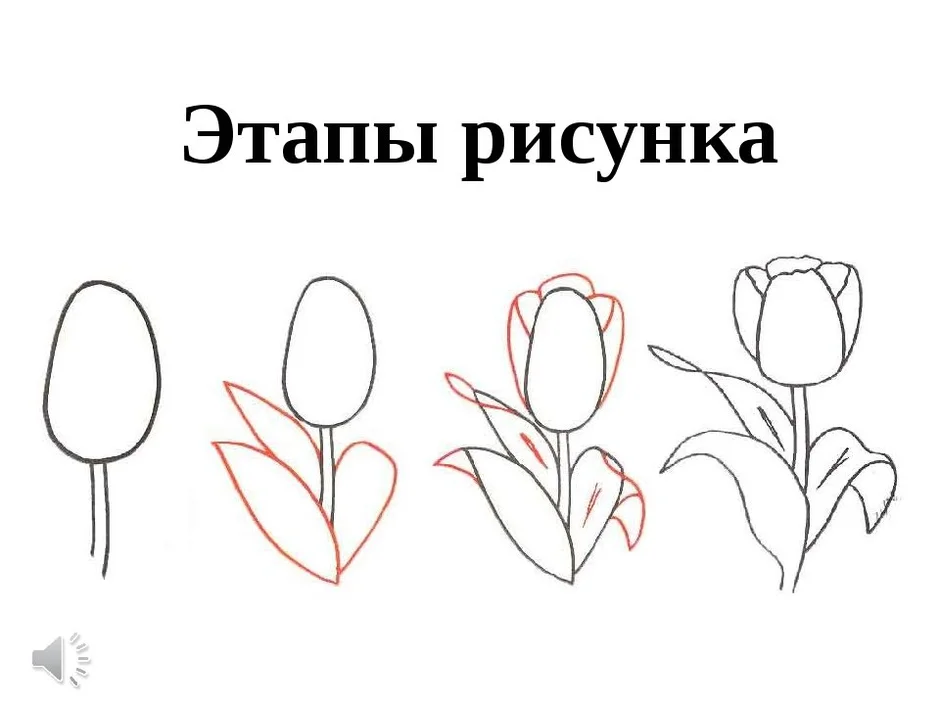 Поэтапное рисование цветов