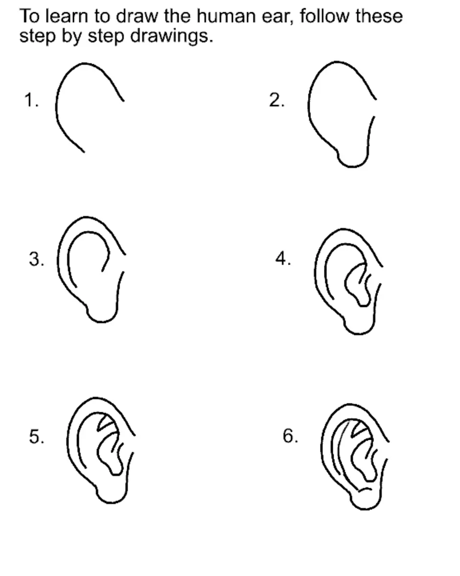 Уха поэтапно. Ухо рисунок. Уши задания для дошкольников. Рисунок уха человека. Как рисовать уши.