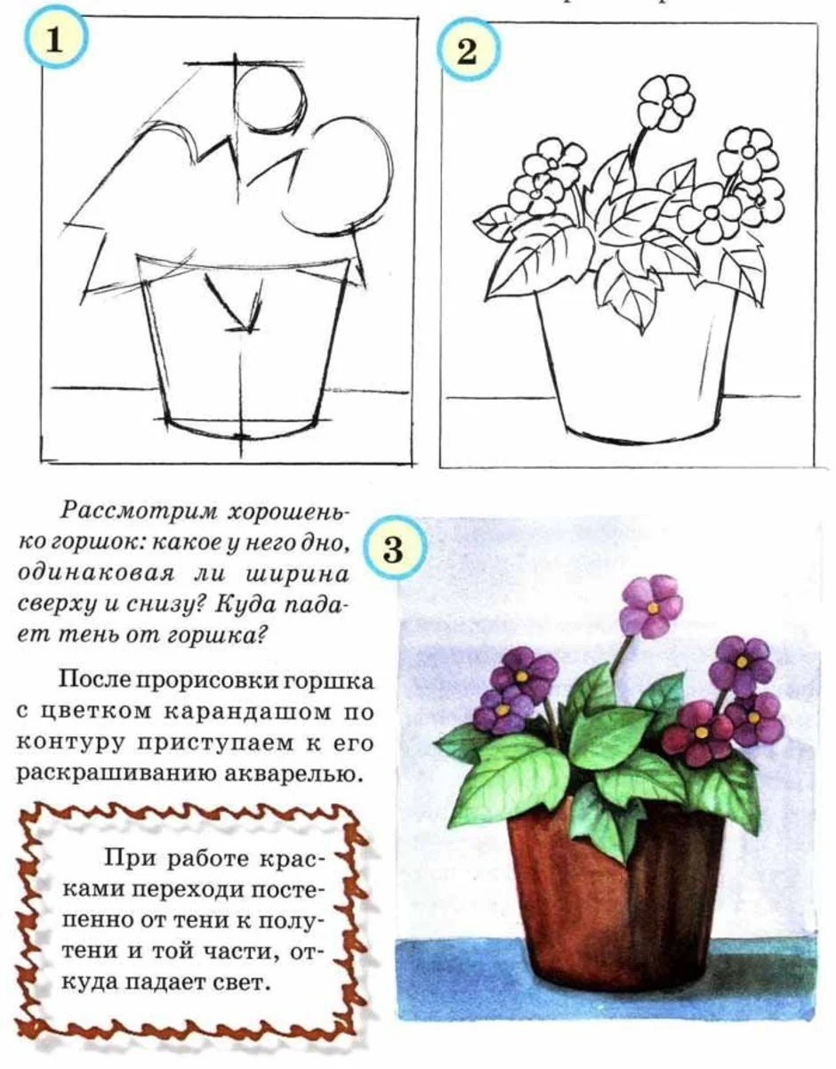 Рисуем комнатные растения с детьми подготовительной группы