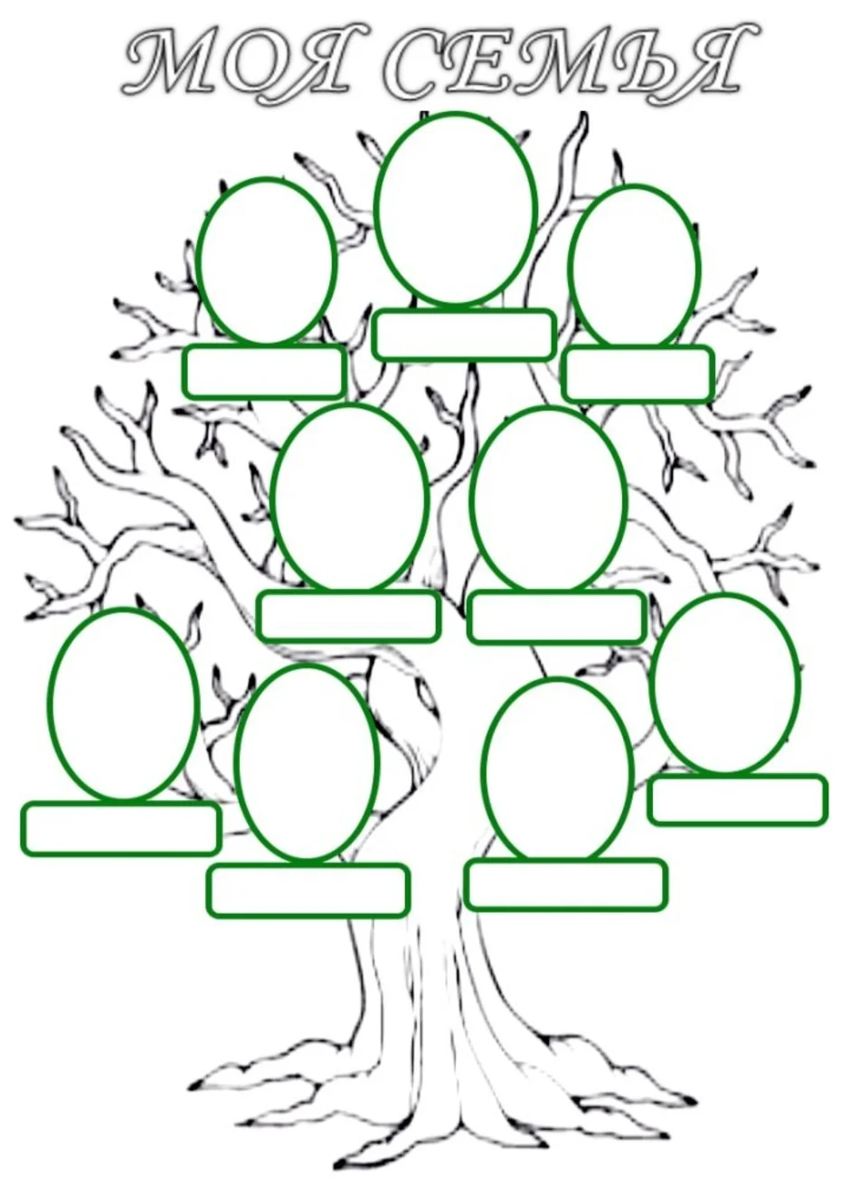 Генеалогическое древо шаблон нарисовать