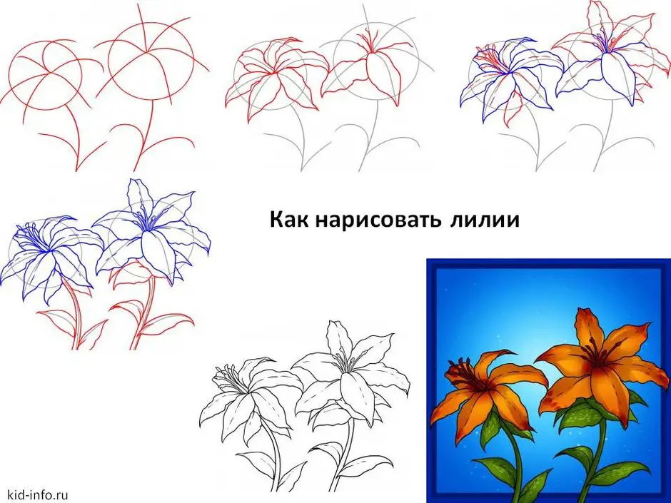 Фото цветы как рисовать