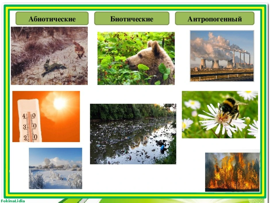 Абиотические и биотические факторы среды примеры. Абиотические факторы окружающей среды. Природные экологические факторы. Абиотические экологические факторы. Факторы среды абиотические биотические антропогенные.