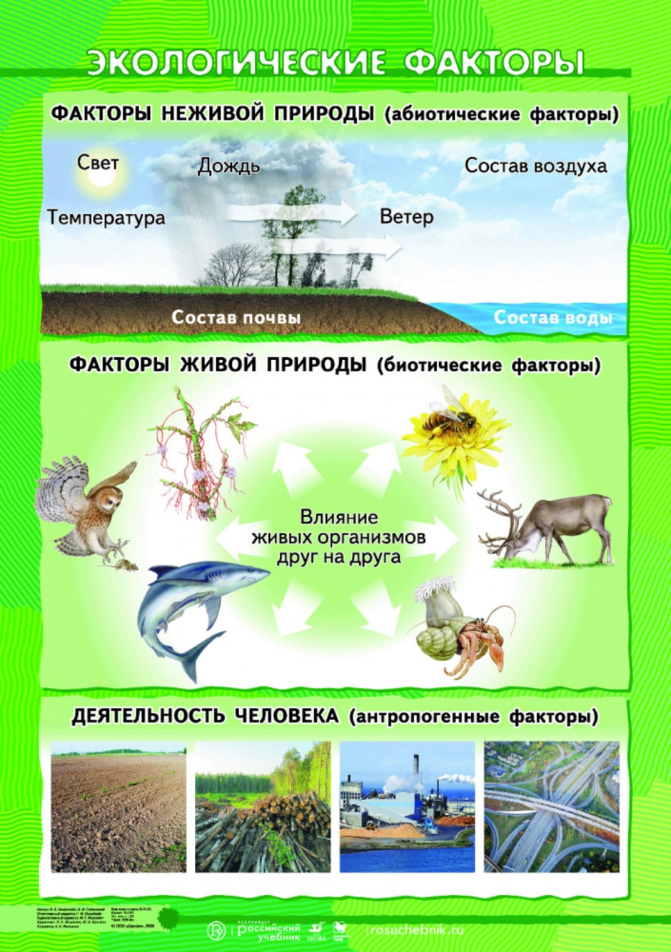 Экологические факторы и среды жизни организмов. Экологические факторы среды рисунок. Этологические факторы. Экологическая фактура это. Экологическая фактори.