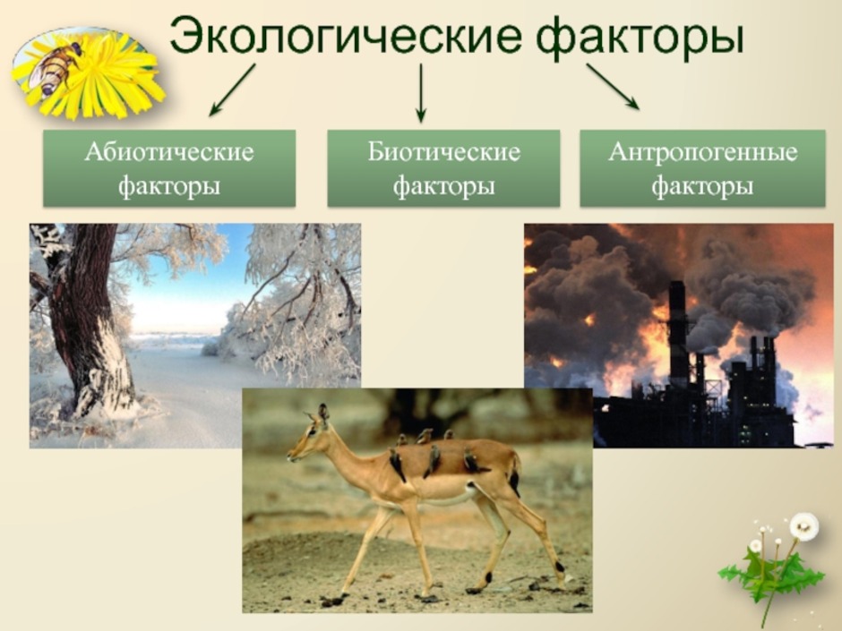 Три фактора окружающей среды