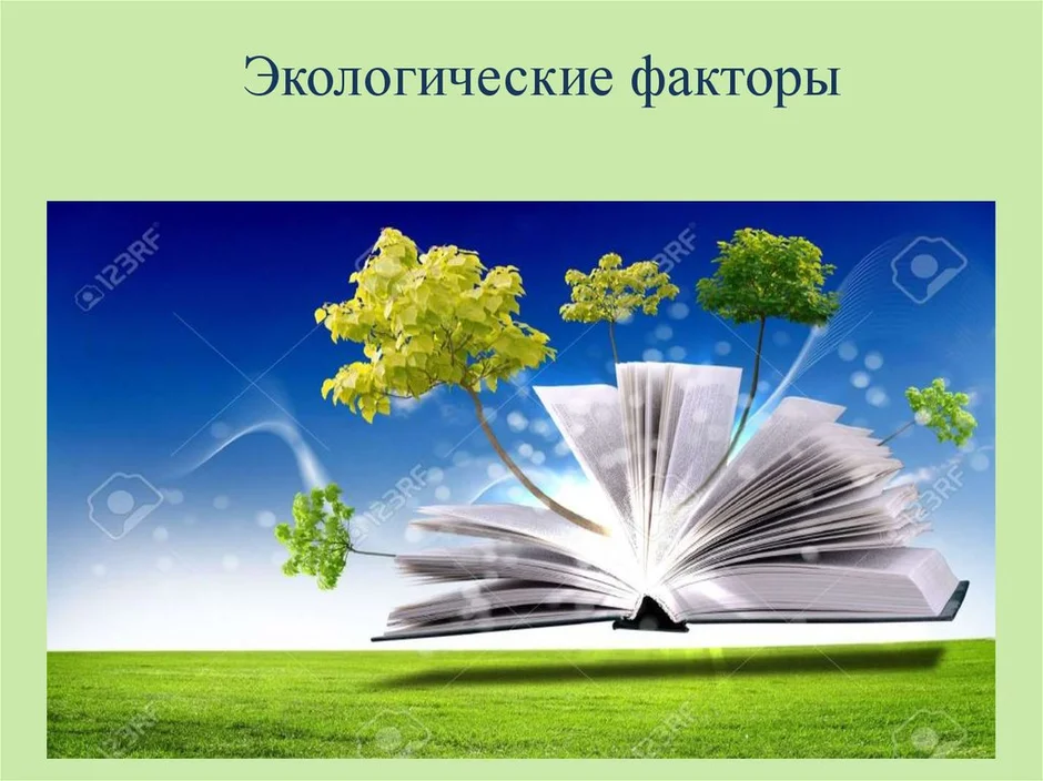 Окружающие факторы. Фоновые экологические факторы. Экологические факторы картинки. Экологические факторы рисунок. Рисунок факторов экологии.