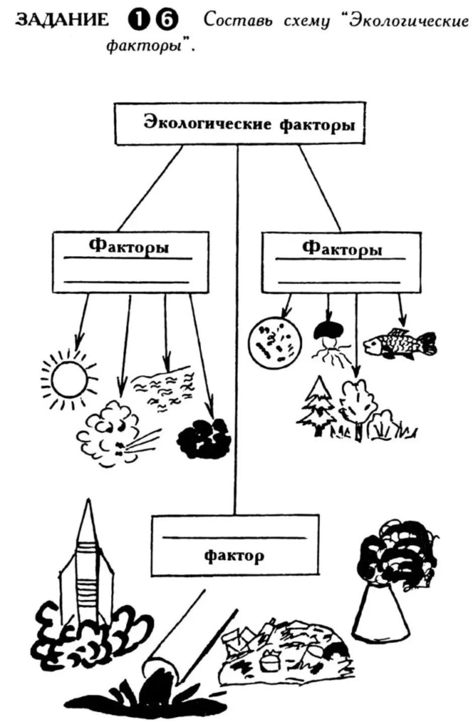 Экологические факторы схема