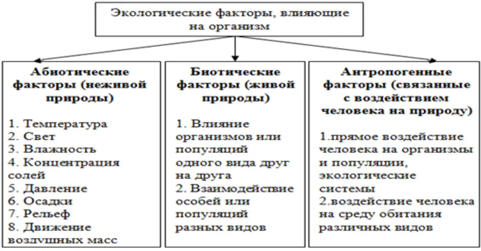 Биотические экологические факторы презентация