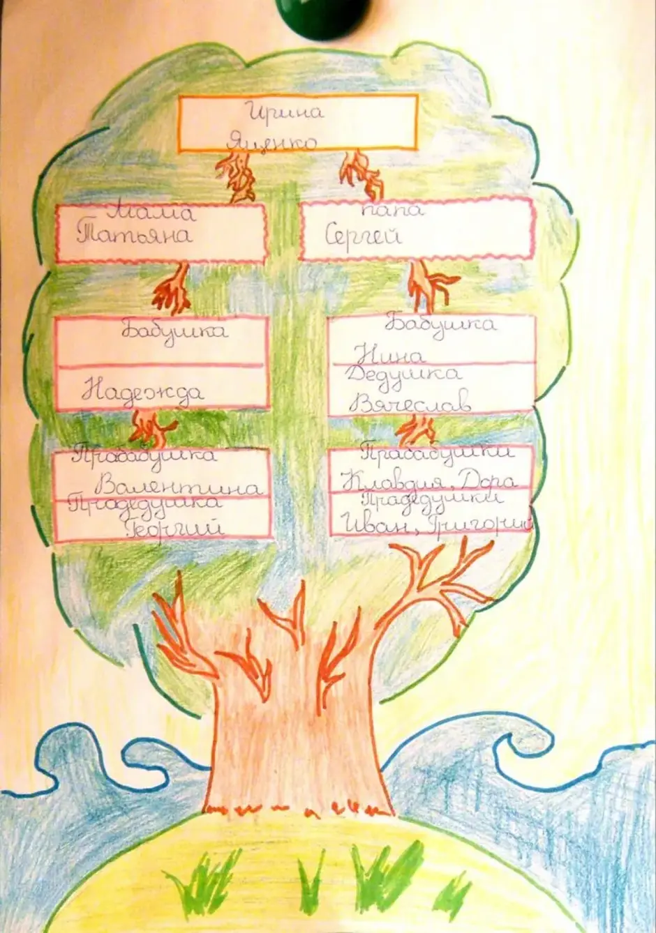 Как нарисовать семейное дерево: легкий способ для детей