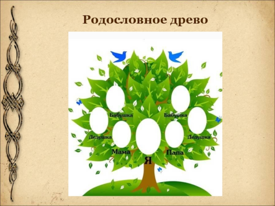 Генеалогическое древо 2 класс окружающий мир проект. Родословное дерево. Родословное дерево рисунок. Проект родословное дерево. Семейное дерево рисунок.