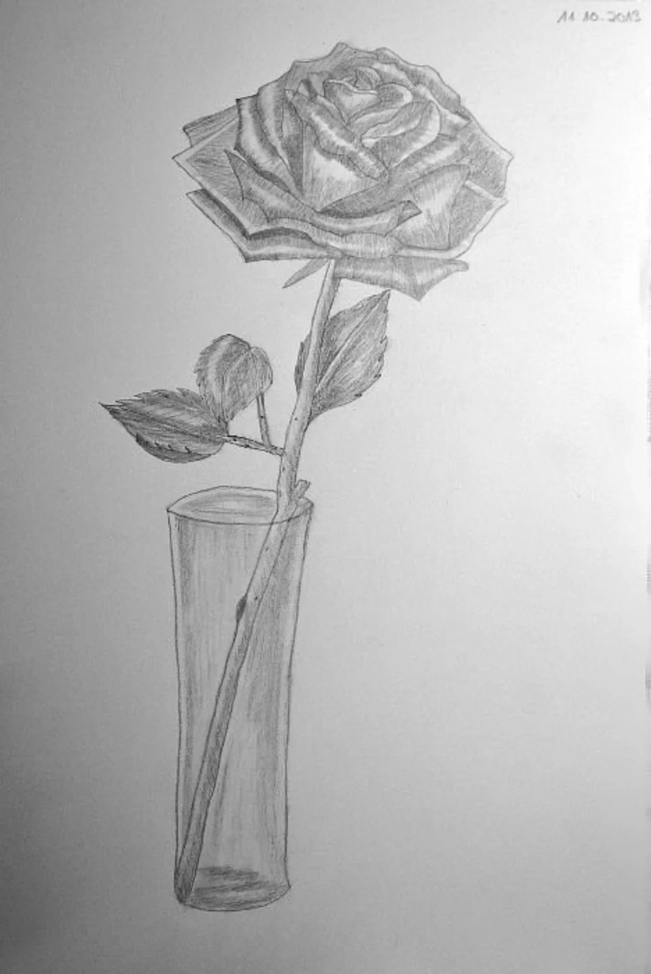 Натюрморт карандашом роза