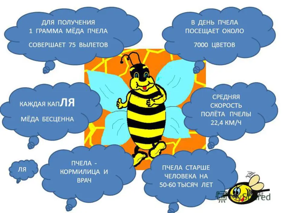 Рисунки всемирный день пчел