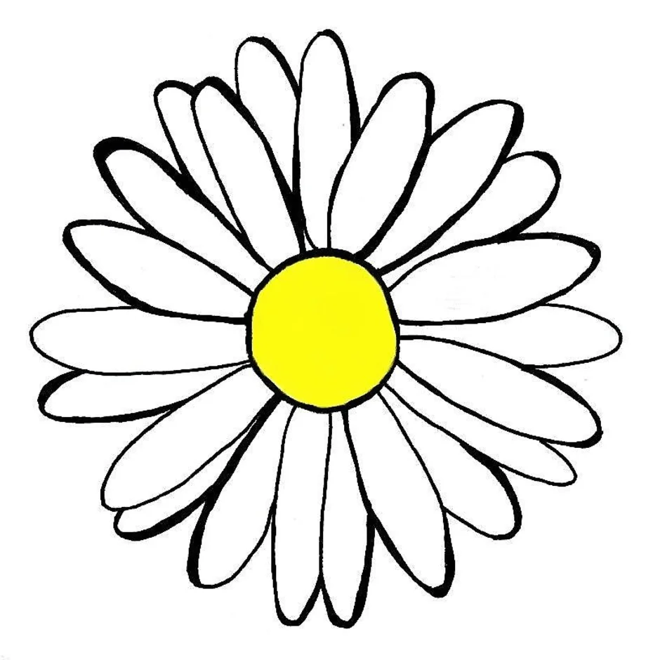 Символ цветка ромашка
