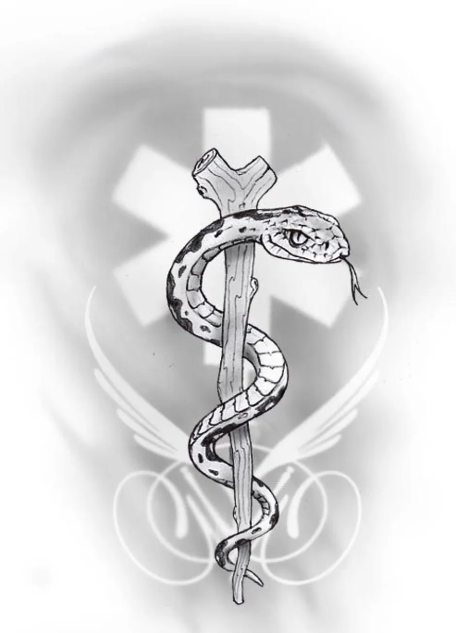 Сон змея обвивает. Символ медицины змея обвивающая чашу. Змея обвивает. Эскиз змеи. Змея Татуировка эскиз.