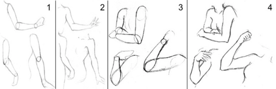 Согнутая рука в локте. Согнутая в локте рука для рисования. Руки до плеч женские референс. Рука до плеча референс. Рука от плеча до кисти референс.