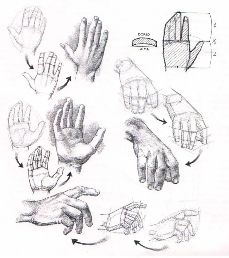 Как рисовать руки пинтерест