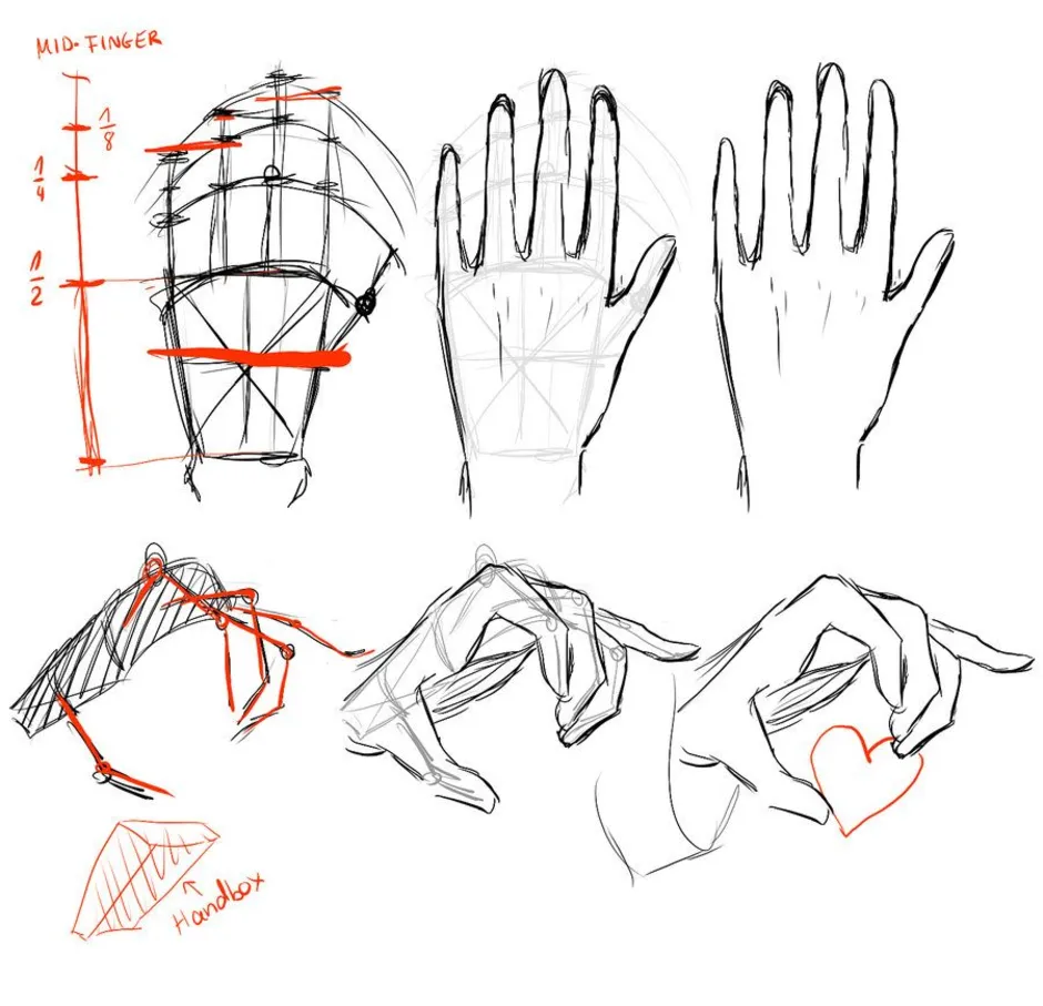 Как рисовать руки анатомия