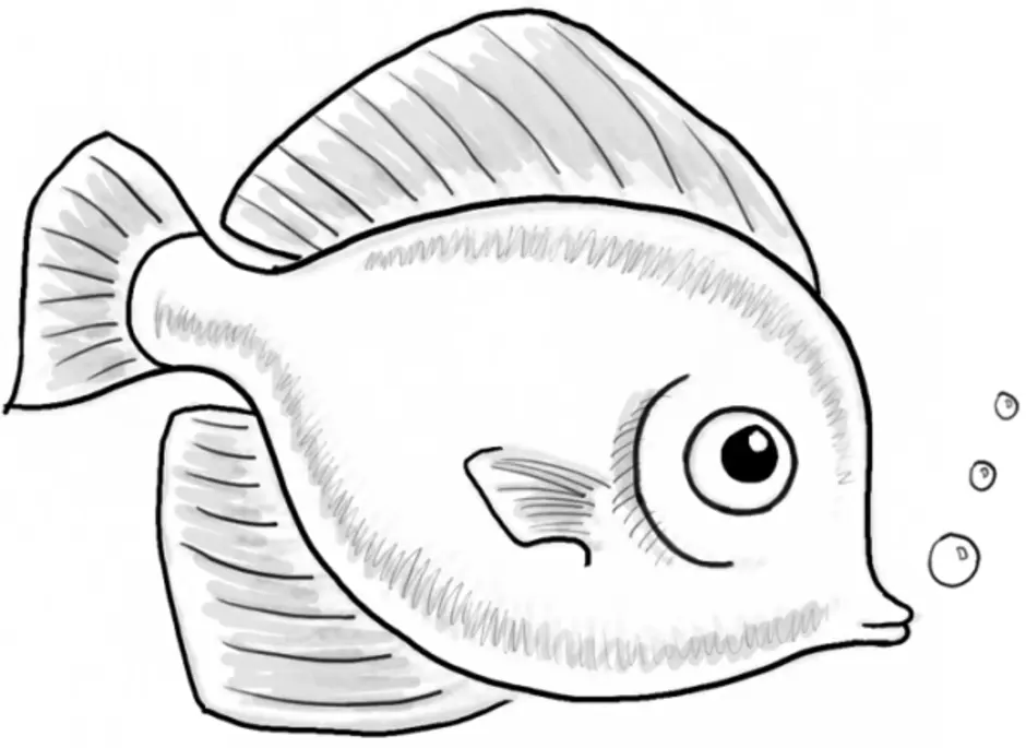 Нарисовать рыбку картинки. Рыбка карандашом. Рыбка рисунок карандашом. Рыбки для срисовки. Рыбки для срисовки карандашом.