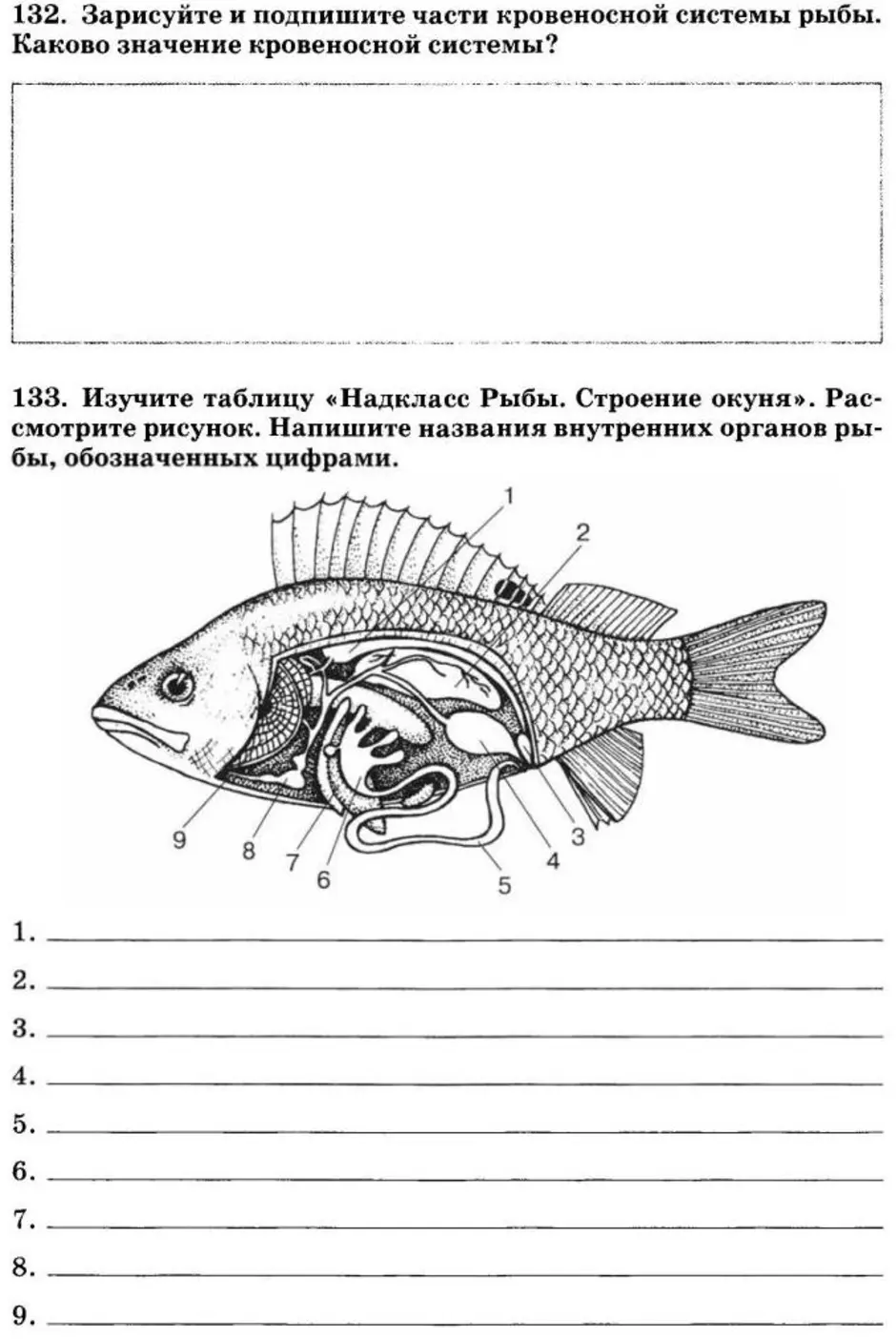 Тест по рыбам 8 класс. Тест 7 класс биология внешнее и внутреннее строение рыбы. Биология внутреннее строение рыб рабочая тетрадь. Внешнее строение рыбы 7 класс биология. Внутреннее строение рыбы и внутреннее.